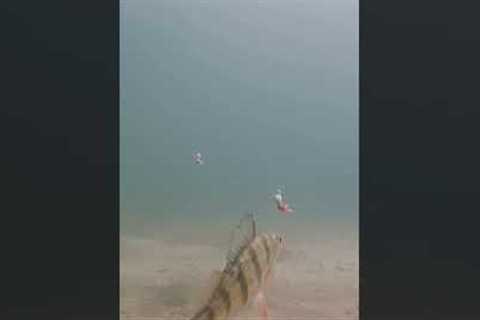 Ice Fishing Underwater Camera