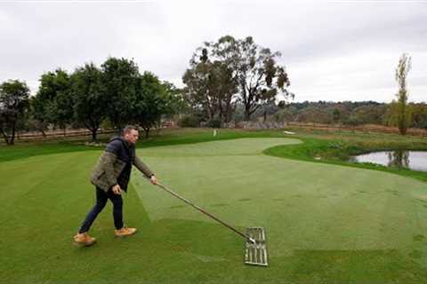 Dusting my Golf Green With Sand and AWESOME Damage REPAIR