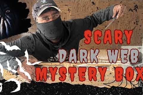 Dark Web Mystery Box From #mbstore #memechat @FukraInsaan Let's See What We Get 😨😨