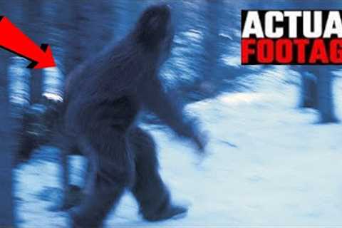 Trail Cam Captures That No One Was Supposed To See