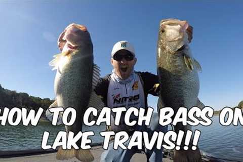 How to Catch Bass on Lake Travis / Lake Travis Bass Fishing