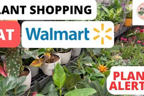 PLANT SHOPPING TOUR AT WALMART MARCH 2023 /PLANT SPECIAL FINDS/CLEARANCE RESCUE
