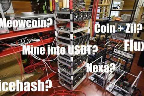 Which 4 coins or mining strategies should I test long term?