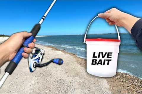 Fishing the BEACH! Eating Whatever I Catch (Catch and Cook)