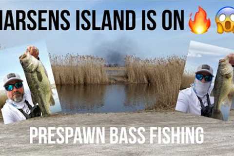 Lake St Clair Prespawn Bass Fishing on Harsens Island