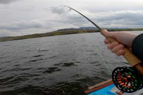 UNBELIEVABLE!! FLY FISHING For WILD BROWN TROUT In IRELAND!!