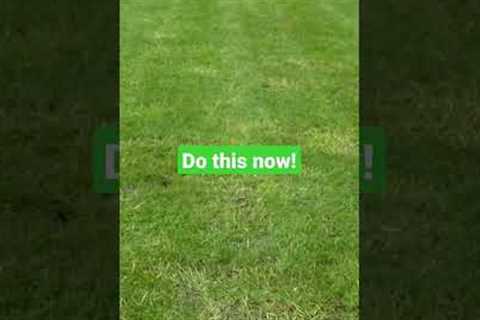 STOP weed grass before it's to LATE 😤