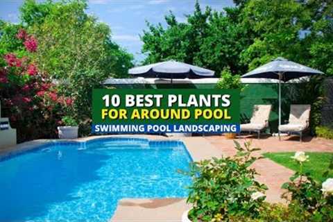 Swimming Pool Landscaping: 10 Best Plants for Around Pool 🌲 🌿 🏊