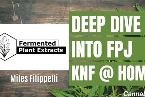 Fermented Plant Extracts + KNF - How to use them at home to grow healthy plants