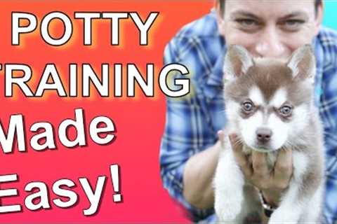 How to Potty Train your Puppy EASILY! Everything you need to know!