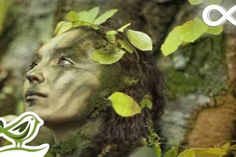 8 Hours of Mysterious Relaxing Music • Harp, Flute, Piano &amp; Strings for Sleep &amp; Meditation