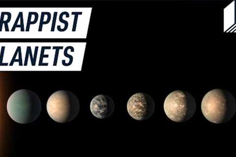 What the Webb Telescope can tell us about the TRAPPIST planets