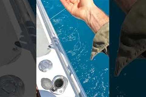 Catching My Dream Fish on Handline 🐟