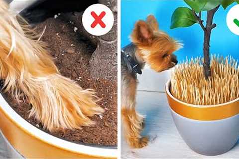 Awesome Plant Growing Hacks And DIY Gardening Ideas