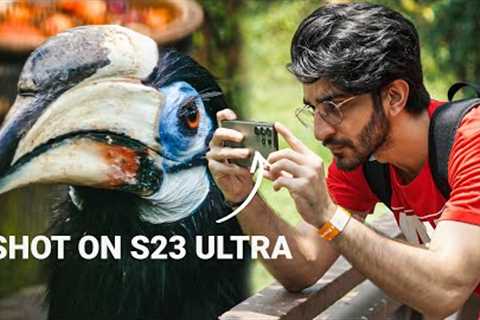 Wildlife Photography Tips with the Galaxy S23 Ultra!