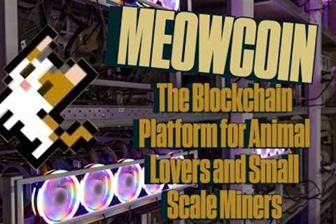 Inside Meowcoin: Co-Founder Interview on Crypto for Good