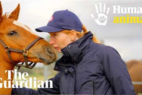 Should horse racing be banned? | Human Animal