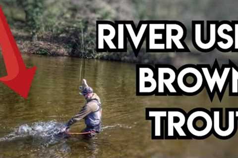 Fly Fishing The River Usk With Spiders, Dry Fly and Euro Nymph
