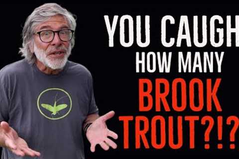 Brook Trout Fly Fishing TIPS &amp; Tom Rosenbauer