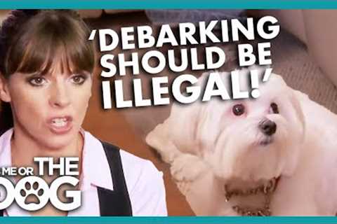 Owner Wants to Cut Noisy Dog's Vocal Cord! | It's Me or The Dog