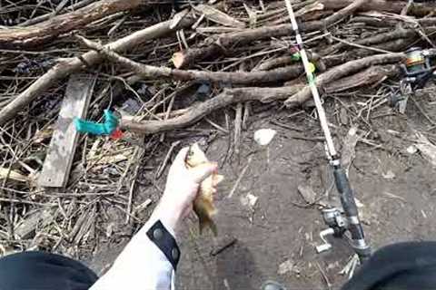 Fishing for crucian carp on spinning and fishing rod, the bite is just crazy!