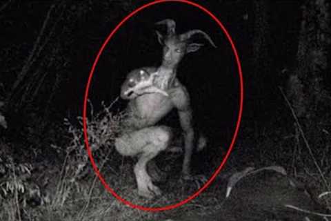Trail Cam Captures What No One Was Supposed To See..