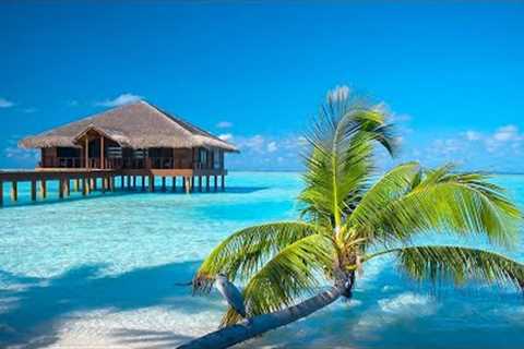 Calming music for nerves - healing music for the heart and blood vessels, relaxation, music for soul