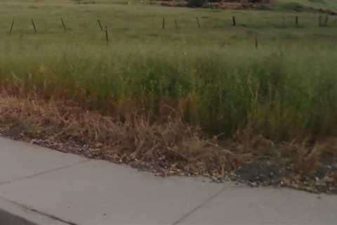 Hellyer Park - The Back Way