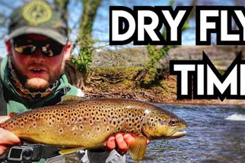 River Usk, Wales - It's Grannom Time! Dry Fly Fishing For Brown Trout