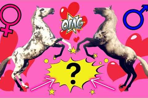 BREEDING MY FAVOURIOTE COMBINATIONS ON RIVAL STARS HORSE RACING!!