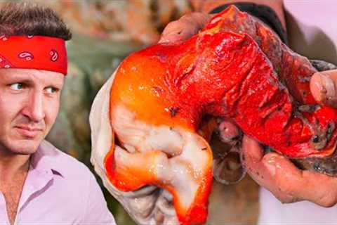 I Bought Illegal Seafood in Mexico!! Becoming a Criminal!!