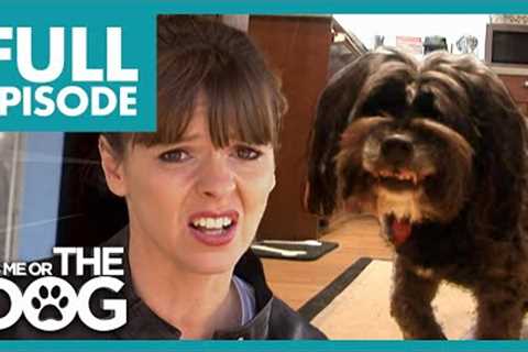'Shark Dog' Is Ruining Owner's Love Life! | Full Episode USA