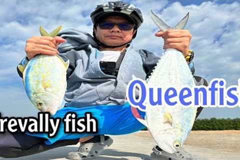 Fishing spot, catching trevally and Queen fish , fuego reel 2000, rockstar rod, line 13lbs