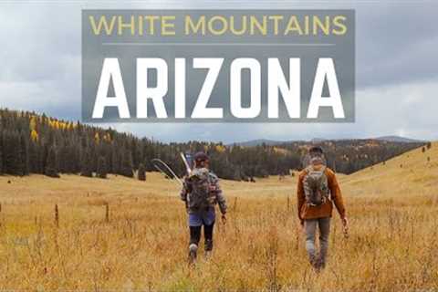 Apache Trout: Isolated in Paradise | Natural Splendor &amp; Wild Trout | Fly Fishing Arizona