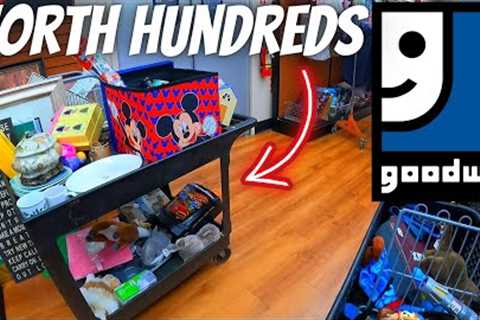 These Everyday Goodwill Thrift Store Finds can make YOU a ton of money