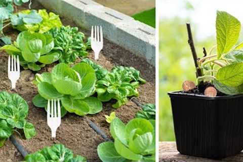 10 Unusual Gardening Hacks That Actually Work