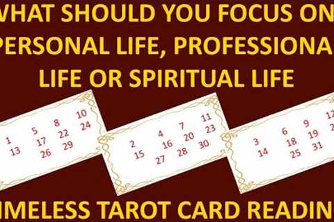 What should you Focus on? Personal Life or Professional Life - Timeless Tarot Reading 🌞🌞