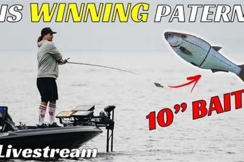 Ben Milliken Spills The JUICE on Bassmaster Open Winning Pattern Toledo Bend | Livestream #139