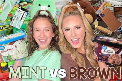 MINT 👗🧼 VS BROWN 🧸🍪 TARGET SHOPPING CHALLENGE (UNEXPECTED TURN) 😱🤔