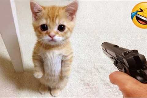 New Funny Videos 2022 😍 Cutest Cats and Dogs 🐱🐶 Part11