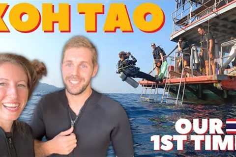We Tried SCUBA DIVING on KOH TAO (one of us failed...) Thailand Travel Vlog 2023 w/La Bombona Diving