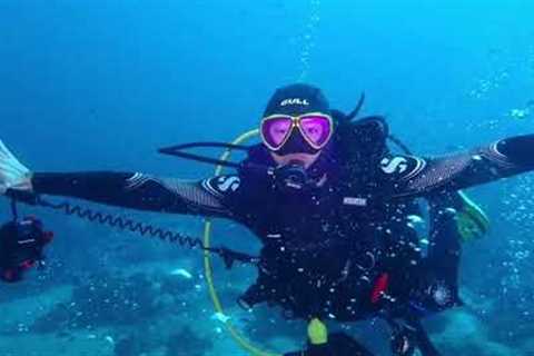 Frogman Scuba Anilao Philippines Diving Trip