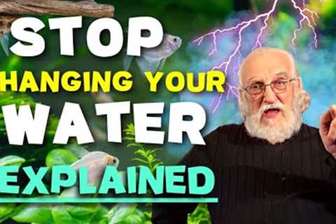 A Simple Rule for Water Changes | The Secret to Pure, Healthy Fish Tank Water