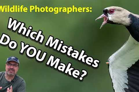 6 Wildlife Photography Mistakes EVERYONE Makes! (OK, almost everyone!)