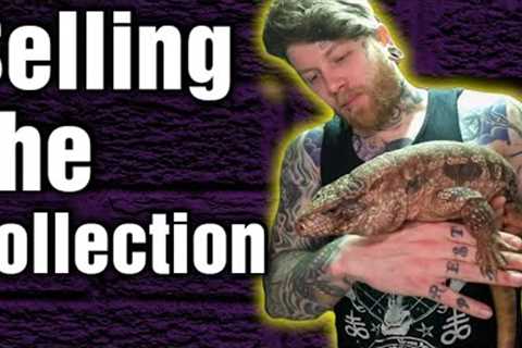 I'm Selling My Reptile Collection... Well Most Of It