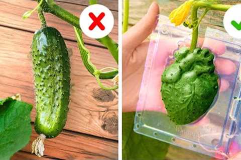Life-Changing Gardening Hacks And Tools