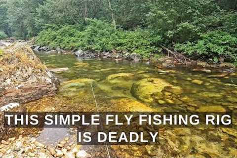 This simple ONE FLY rig is deadly anywhere you fly fish!