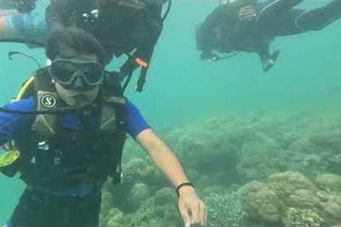 Scuba dive at Andman and Nicobar Island | beginner | Nemo beach  | First scuba diving Experience
