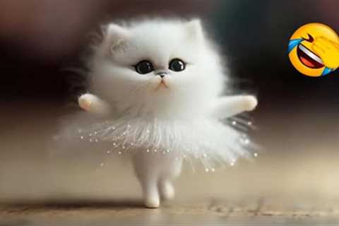 FUNNY CAT VIDEOS 2023😸 - 😂Funniest Cats 2023 #35