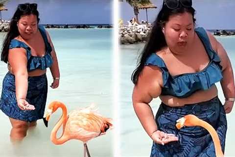 Can You Handle These Hilarious TIKTOK FAILS?! 🤣🤣 Funny TikTok Compilation | AFV 2023